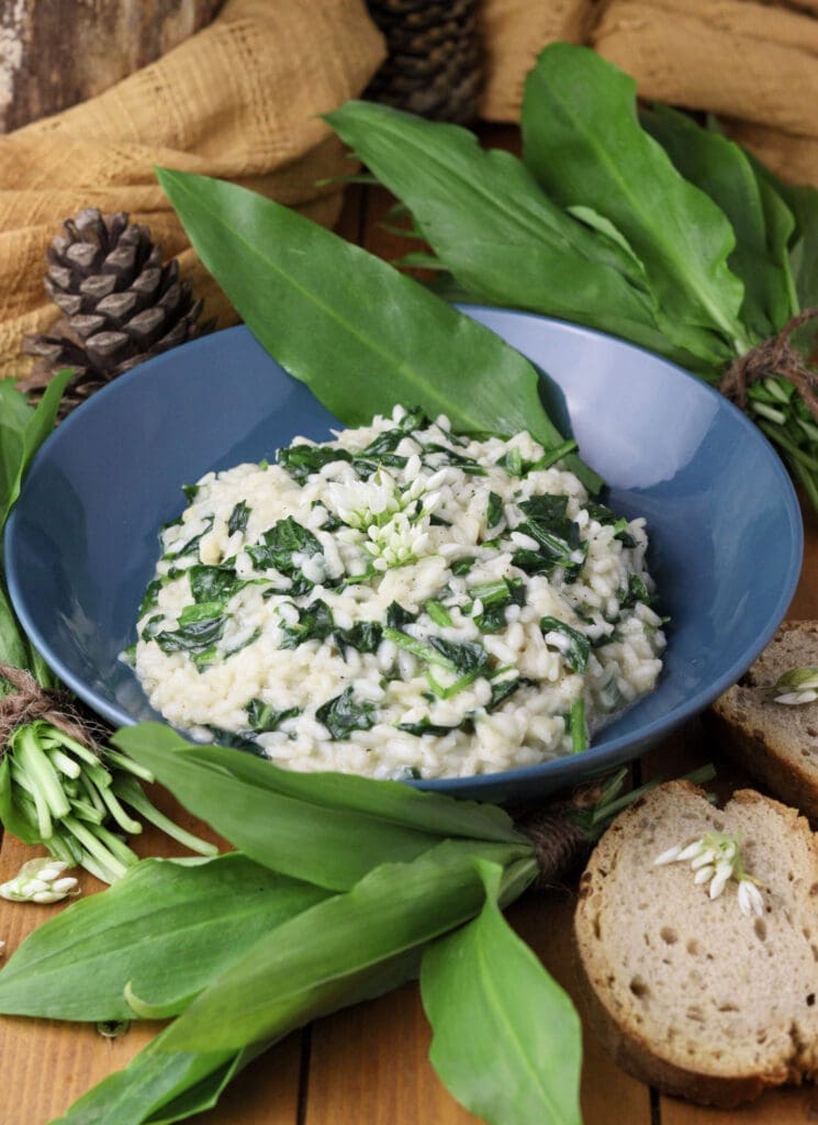 Wild garlic risotto garnished with wild garlic flowers and served with bread.